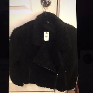 EXPRESS CROPPED ZIPPER JACKET FOR WOMEN